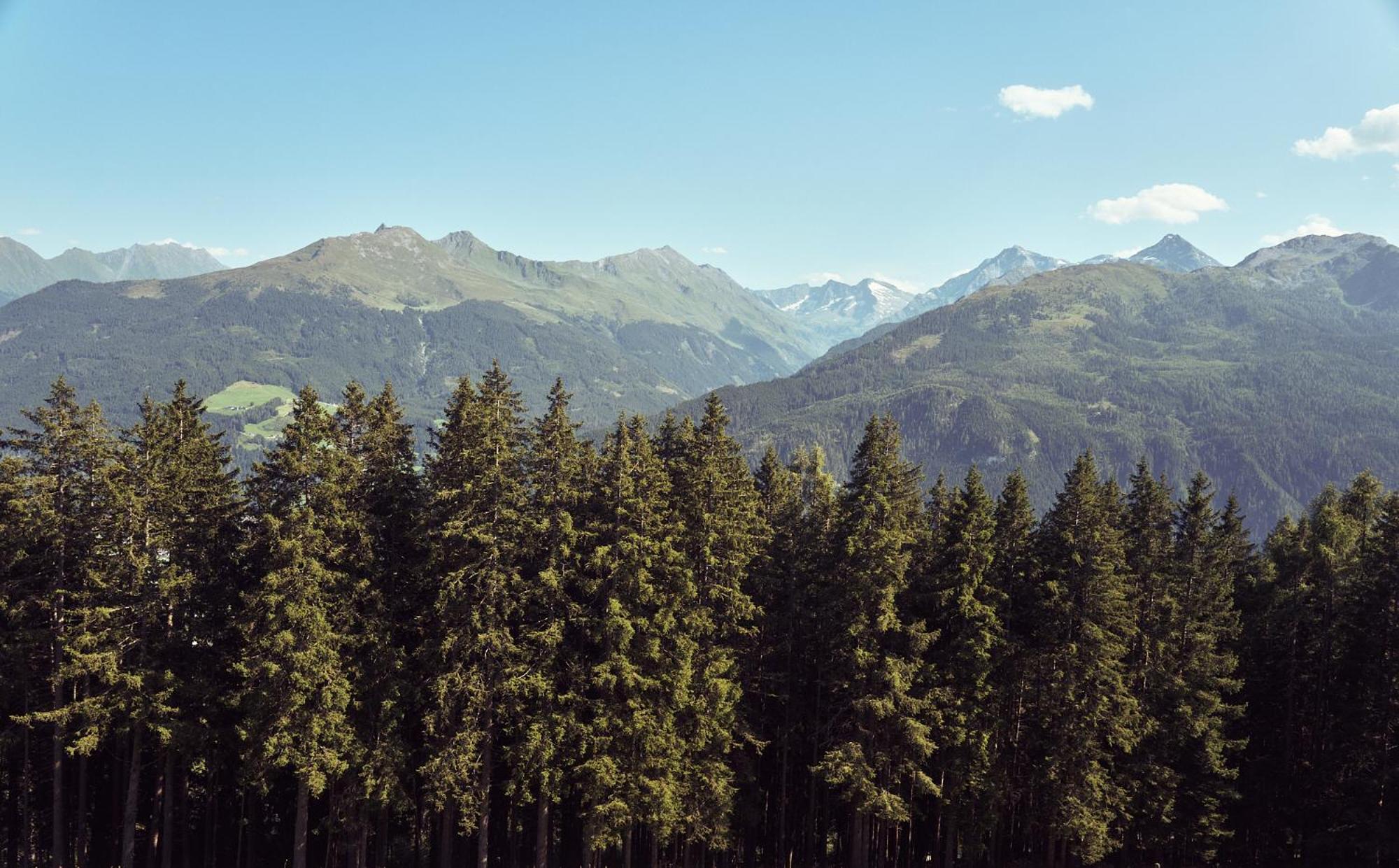 Peter's - Bergbauernhof Mit Weitblick Apartment *
