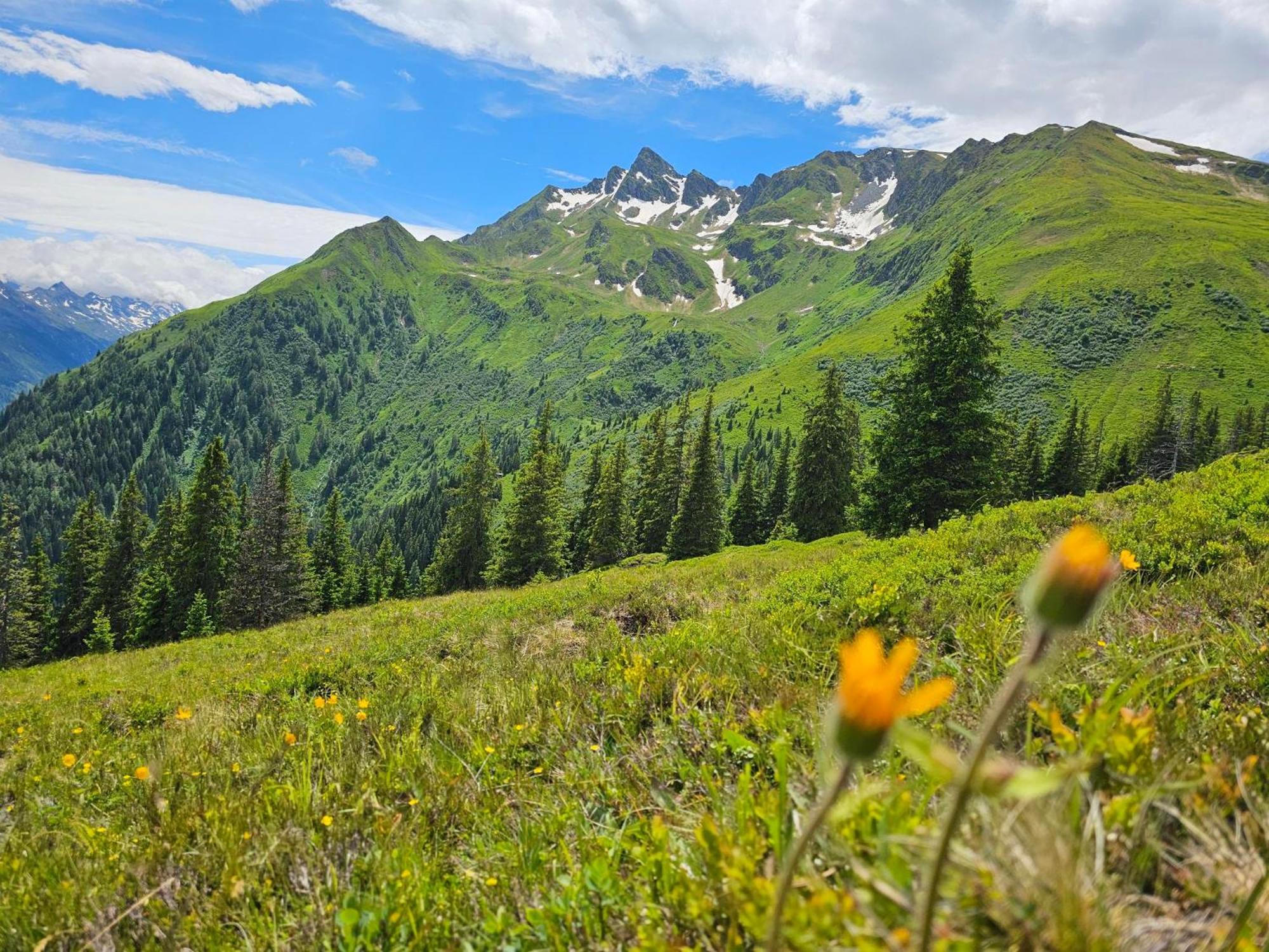 Peter's - Bergbauernhof Mit Weitblick *