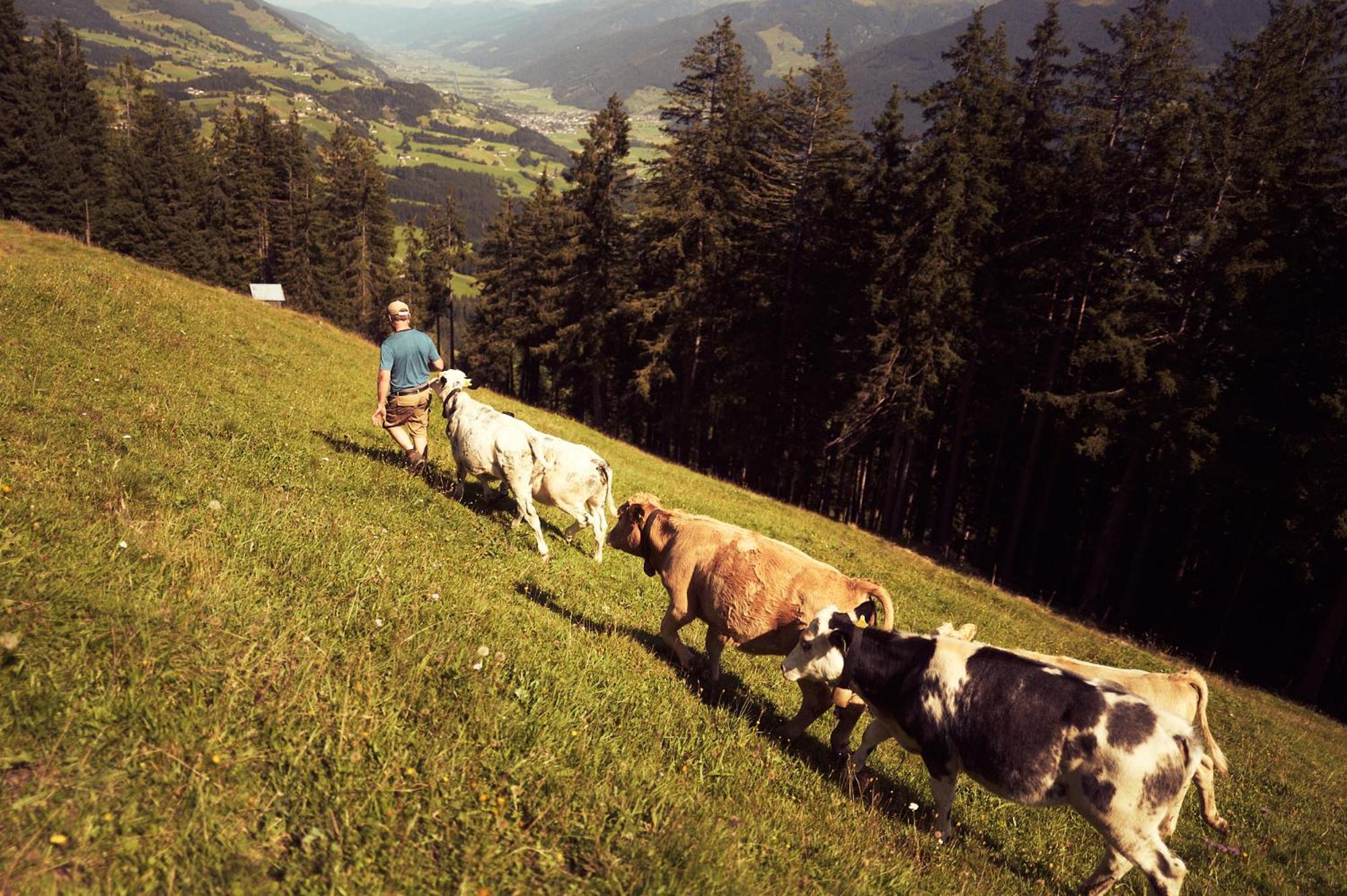 Peter's - Bergbauernhof Mit Weitblick Bramberg am Wildkogel