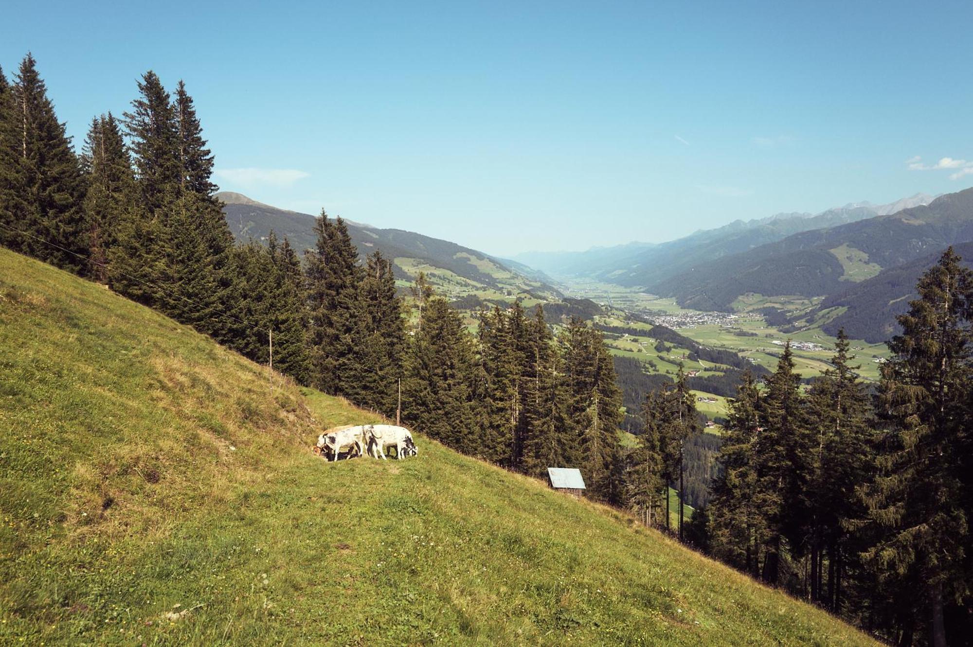Peter's - Bergbauernhof Mit Weitblick * Bramberg am Wildkogel